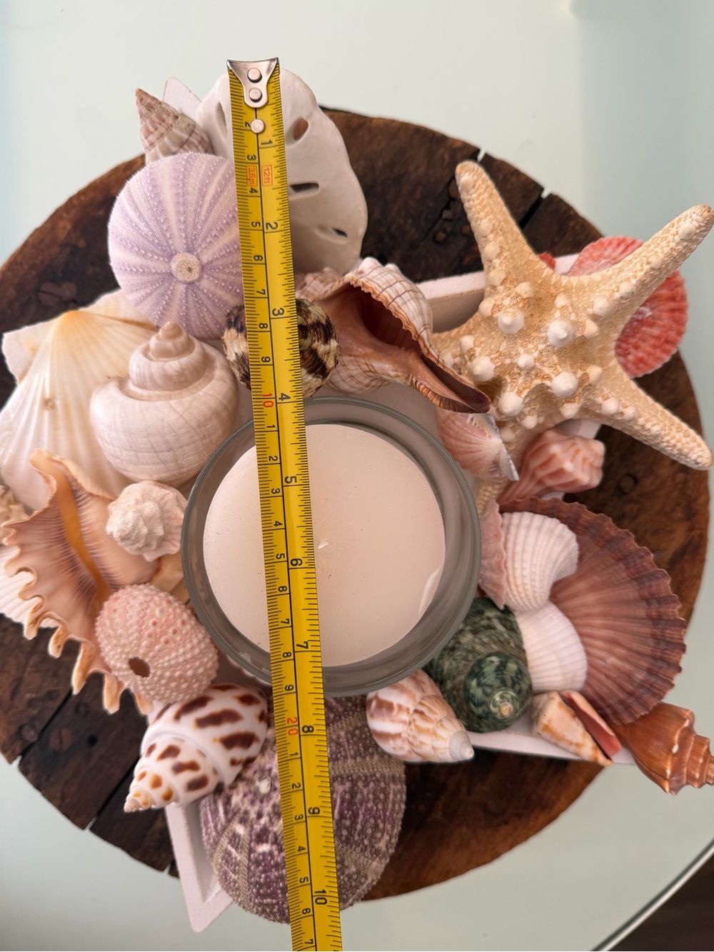 Coastal Seashell Candle Centerpiece in White Star - Picture 4 of 16